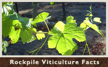 Rockpile Viticulture Facts